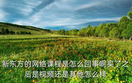 新東方的網(wǎng)絡(luò)課程是怎么回事啊買(mǎi)了之后是視頻還是其他怎么樣