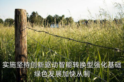 創(chuàng)新驅(qū)動(dòng)發(fā)展 智慧賦能未來(lái)，實(shí)施堅(jiān)持創(chuàng)新驅(qū)動(dòng)智能轉(zhuǎn)換型強(qiáng)化基礎(chǔ)綠色發(fā)展加快從制
