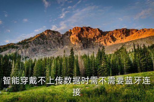 智能系統(tǒng)更新需不需要開藍(lán)牙，智能穿戴不上傳數(shù)據(jù)時(shí)需不需要藍(lán)牙連接