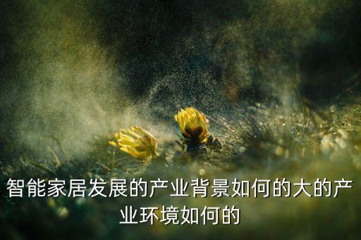 智能家居發(fā)展的產(chǎn)業(yè)背景如何的大的產(chǎn)業(yè)環(huán)境如何的