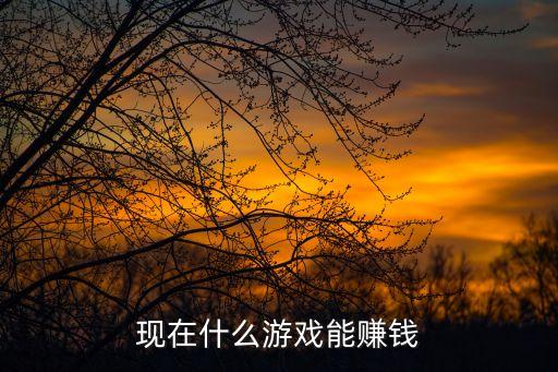 有掙錢的游戲嗎現(xiàn)在，現(xiàn)在玩什么游戲能有錢賺