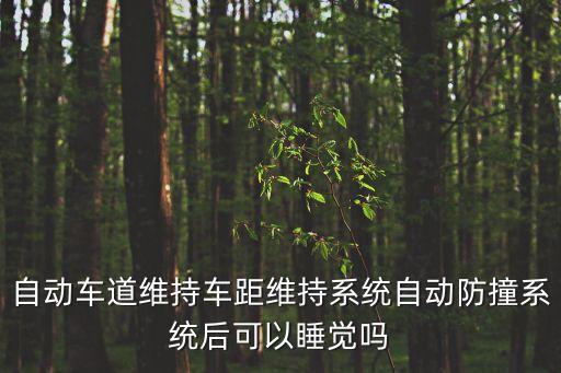 自動車道維持車距維持系統(tǒng)自動防撞系統(tǒng)后可以睡覺嗎