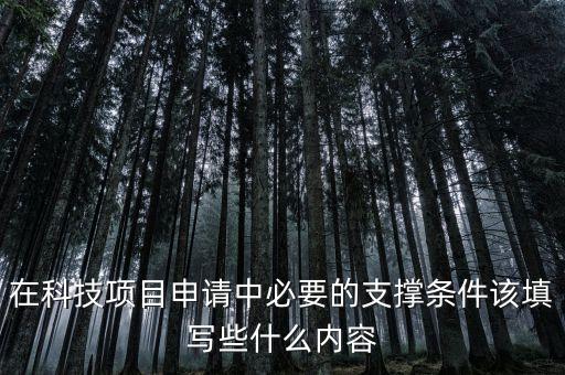 在科技項目申請中必要的支撐條件該填寫些什么內(nèi)容