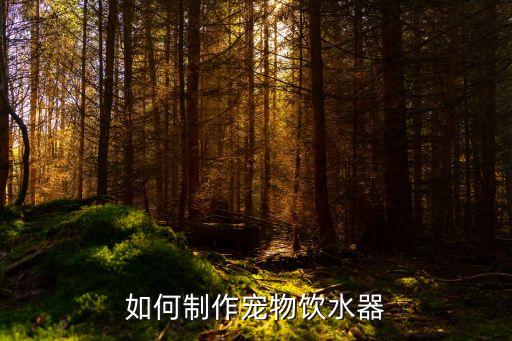 手工迷你飲水機(jī)怎么畫出來，如何制作一個迷你的抽水機(jī)