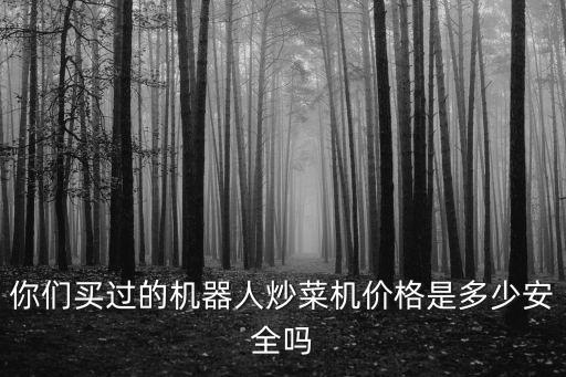 做飯機器人價格，你們買過的機器人炒菜機價格是多少安全嗎