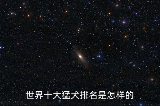 世界十大猛犬排名是怎樣的