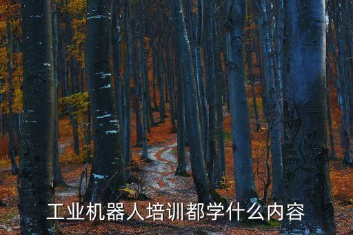 工業(yè)機(jī)器人培訓(xùn)都學(xué)什么內(nèi)容