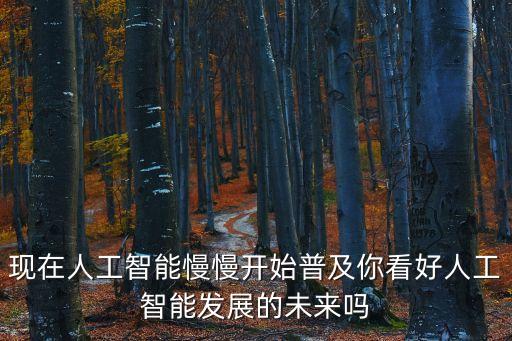 人工智能產(chǎn)業(yè)研究院院長(zhǎng)，現(xiàn)在人工智能慢慢開始普及你看好人工智能發(fā)展的未來(lái)嗎