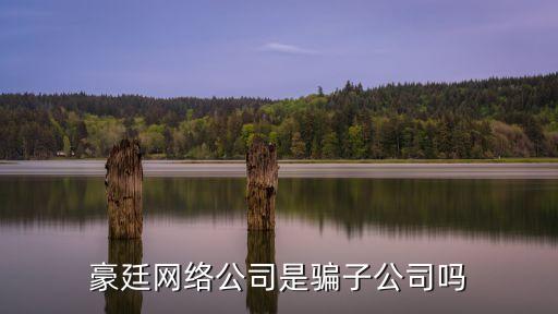 豪廷網(wǎng)絡(luò)公司是騙子公司嗎