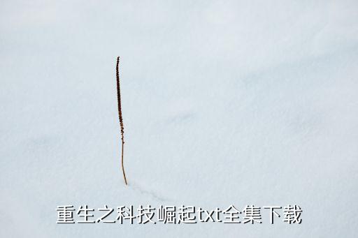 重生之低調(diào)科技崛起 第21章，我想要一些關(guān)于重生的小說和主角獲得外星科技開公司賺很多錢并且?guī)? /></a><a href=