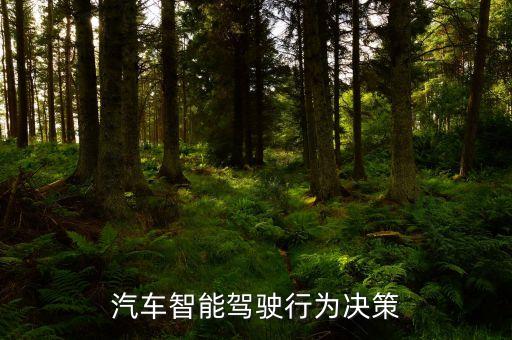 汽車智能駕駛行為決策