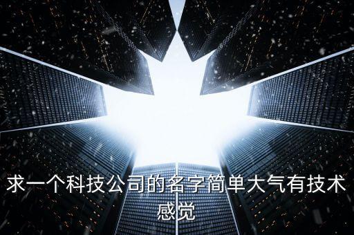 求一個科技公司的名字簡單大氣有技術(shù)感覺
