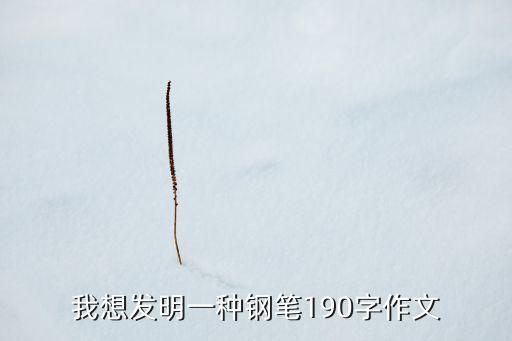 我想發(fā)明一種鋼筆190字作文