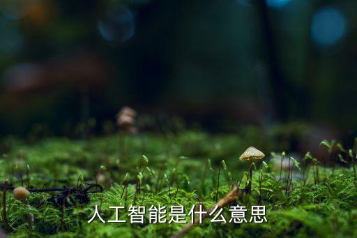 人工智能是什么意思