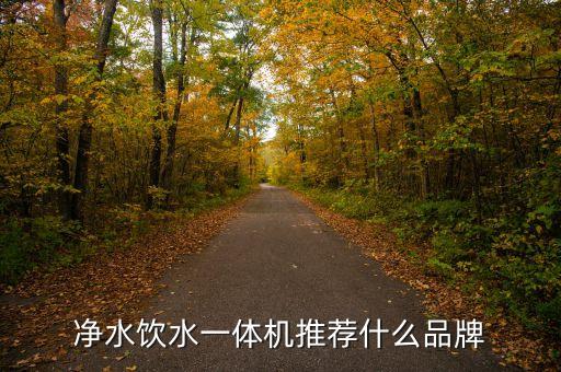 凈水飲水一體機(jī)推薦什么品牌