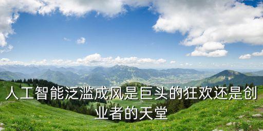人工智能泛濫成風(fēng)是巨頭的狂歡還是創(chuàng)業(yè)者的天堂
