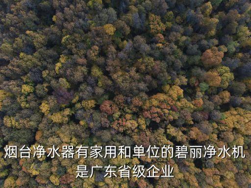 煙臺凈水器有家用和單位的碧麗凈水機是廣東省級企業(yè)