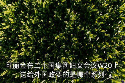 科技賦能促發(fā)展 萬物互聯(lián)更精彩，可麗金在二十國集團婦女會議W20上送給外國政要的是哪個系列
