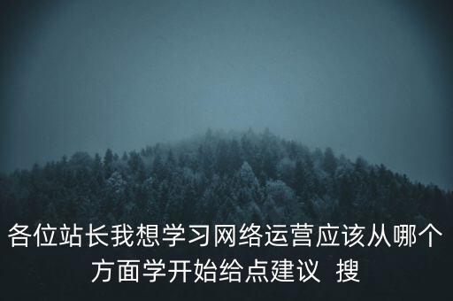 各位站長我想學習網(wǎng)絡運營應該從哪個方面學開始給點建議  搜