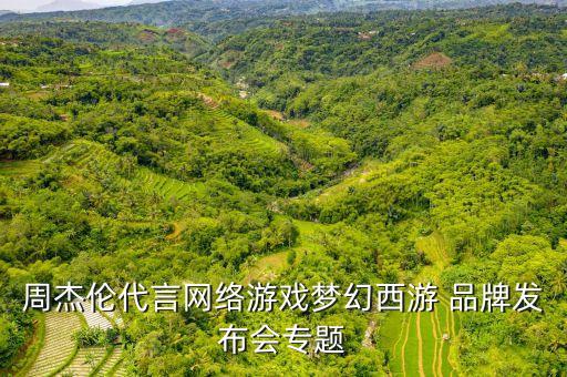 周杰倫代言網(wǎng)絡(luò)游戲夢幻西游 品牌發(fā)布會專題