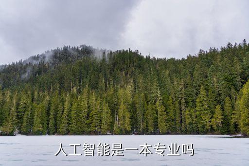 人工智能是一本專業(yè)嗎