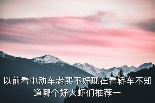 以前看電動(dòng)車?yán)腺I不好現(xiàn)在看轎車不知道哪個(gè)好大蝦們推薦一