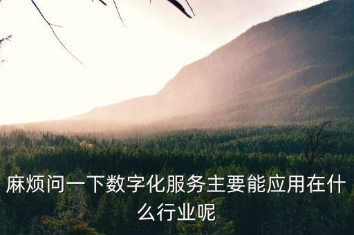 數(shù)字化賦能產(chǎn)業(yè)，麻煩問一下數(shù)字化服務(wù)主要能應(yīng)用在什么行業(yè)呢