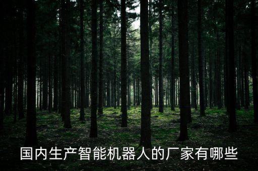國內(nèi)生產(chǎn)智能機器人的廠家有哪些