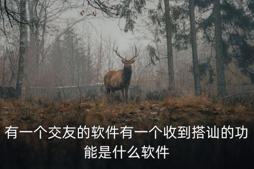 有一個交友的軟件有一個收到搭訕的功能是什么軟件