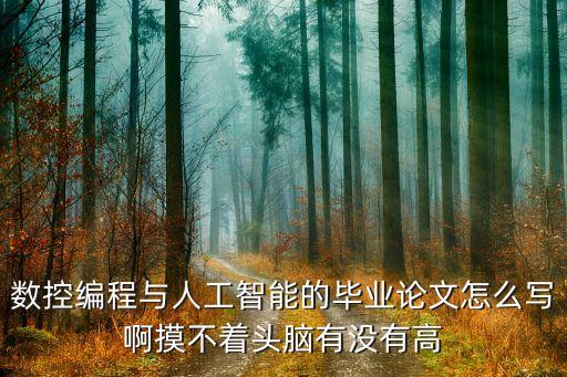 數(shù)控編程與人工智能的畢業(yè)論文怎么寫啊摸不著頭腦有沒有高