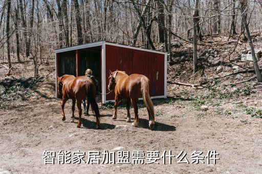 智能家居加盟需要什么條件