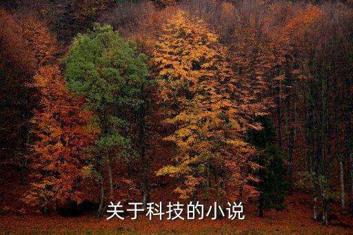 關(guān)于科技的小說