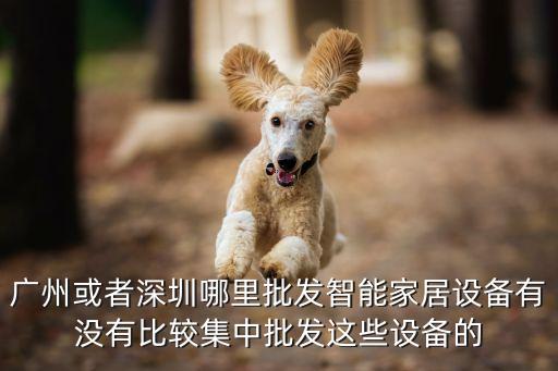 廣州或者深圳哪里批發(fā)智能家居設(shè)備有沒有比較集中批發(fā)這些設(shè)備的