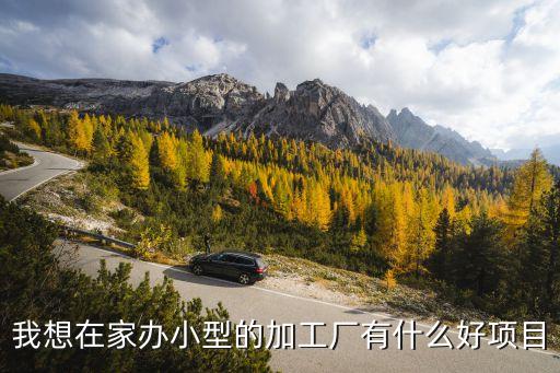 我想在家辦小型的加工廠有什么好項(xiàng)目