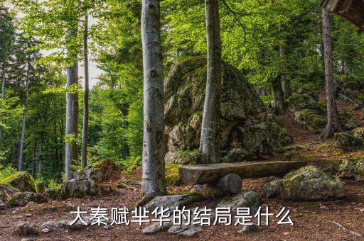 大秦賦是什么意思，大秦賦讀什么