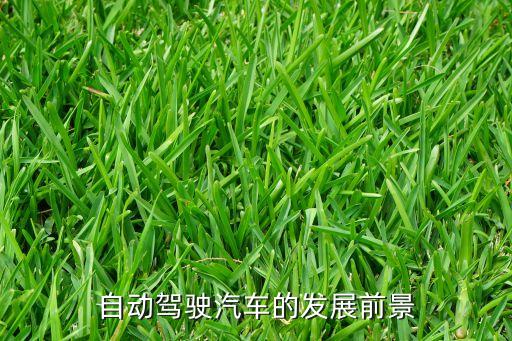 自動(dòng)駕駛行業(yè)前景，自動(dòng)駕駛汽車的發(fā)展前景