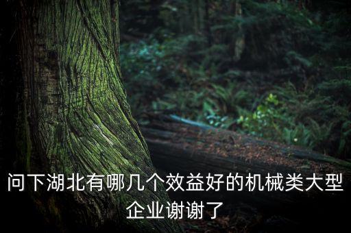 大型機(jī)械設(shè)備廠家，問下湖北有哪幾個(gè)效益好的機(jī)械類大型企業(yè)謝謝了
