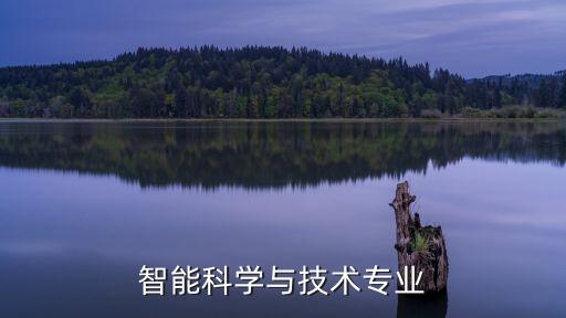 智能科學(xué)與技術(shù)專業(yè)