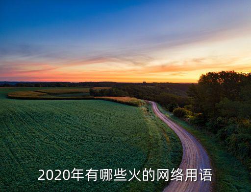 互聯(lián)網(wǎng)熱門(mén)行業(yè)語(yǔ)言，IT行業(yè)學(xué)哪個(gè)編程語(yǔ)言比較吃香