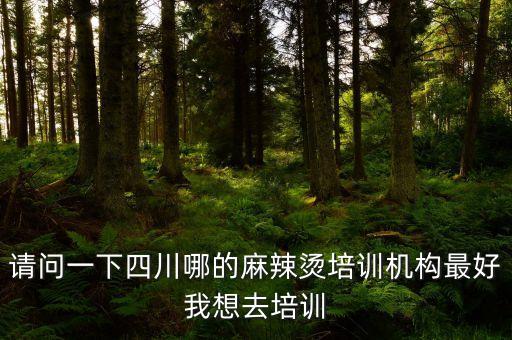 請問一下四川哪的麻辣燙培訓(xùn)機構(gòu)最好我想去培訓(xùn)