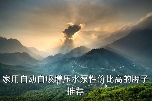 家用自動(dòng)自吸增壓水泵性價(jià)比高的牌子推薦