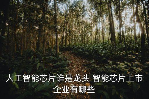 人工智能芯片誰(shuí)是龍頭 智能芯片上市企業(yè)有哪些