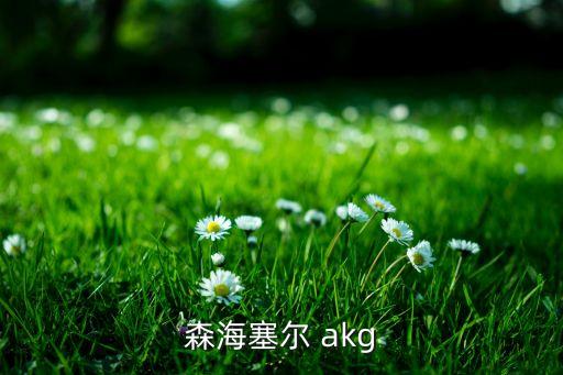森海塞爾 akg
