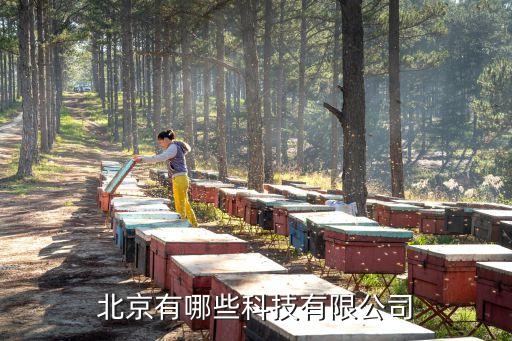 北京有哪些科技有限公司