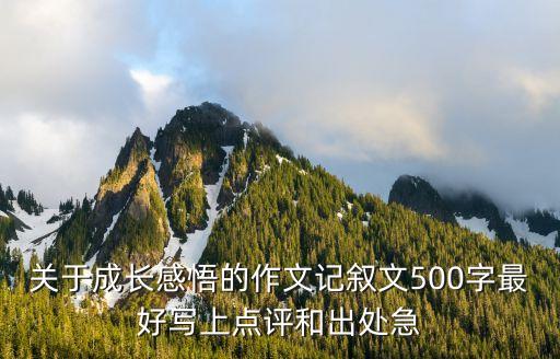 關(guān)于成長(zhǎng)感悟的作文記敘文500字最好寫(xiě)上點(diǎn)評(píng)和出處急