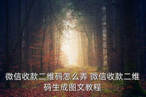 如何定制微信收款二維碼，微信收款二維碼怎么弄 微信收款二維碼生成圖文教程