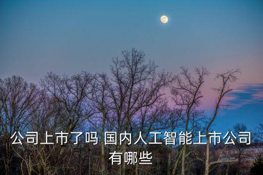 公司上市了嗎 國內(nèi)人工智能上市公司有哪些