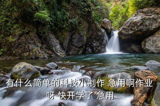 創(chuàng)意科技小制作簡(jiǎn)單易學(xué)，有什么簡(jiǎn)單的科技小制作 急用啊作業(yè)呀 快開學(xué)了 急用