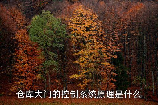 倉庫大門的控制系統(tǒng)原理是什么
