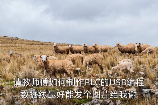 請(qǐng)教師傅如何制作PLC的USB編程數(shù)據(jù)線(xiàn)最好能發(fā)個(gè)圖片給我謝